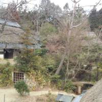 甲賀の里忍術村 の写真 (3)