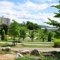 和泉市中央公園 の写真 (3)
