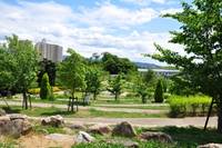 和泉市中央公園 の写真 (3)