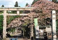 滝尾神社 の写真 (1)