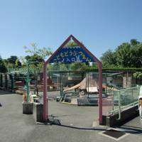 甲府市遊亀公園 の写真 (3)