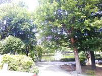 妙正寺公園 の写真