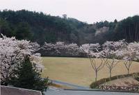 益子県立自然公園 益子の森 の写真 (1)