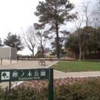 樫ノ木公園 の写真 (2)