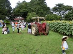 東大農場ひまわり畑 子連れのおでかけ 子どもの遊び場探しならコモリブ 東大農場ひまわり畑 子連れのおでかけ 子どもの遊び場探しならコモリブ