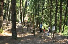 大亀山森林公園