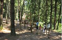 大亀山森林公園 の写真