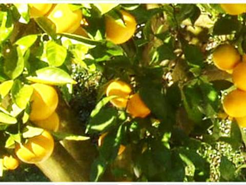 熊本のおすすめ子連れ遊び場 観光施設50選 人気のお出かけ先から子供向けイベント開催も 2 子連れのおでかけ 子どもの遊び場探しならコモリブ 熊本のおすすめ子連れ遊び場 観光施設50選 人気のお出かけ先から子供向けイベント開催も 2 子連れのおでかけ 子どもの遊び場探しならコモリブ