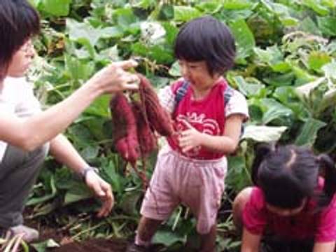 閉店 運動の森自然公園 成田エアポートコース 子連れのおでかけ 子どもの遊び場探しならコモリブ