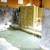 君田温泉 森の泉 の写真 (2)
