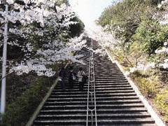 鹿児島の子連れ遊び場30選 雨の日のお出かけに最適な屋内施設や子供向けイベント開催も 7 子連れのおでかけ 子どもの遊び場探しならコモリブ 鹿児島の子連れ遊び場30選 雨の日のお出かけに最適な屋内施設や子供向けイベント開催も 7 子連れのおでかけ 子どもの遊び場探しならコモリブ
