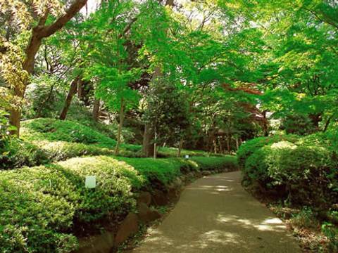 東京の子供と楽しめるホテルプール14選 都内の屋内プールや幼児プールを完備したホテルも 2 子連れのおでかけ 子どもの遊び場探しならコモリブ 東京の子供と楽しめるホテルプール14選 都内の屋内プールや幼児プールを完備したホテルも 2 子連れのおでかけ 子どもの遊び場探しならコモリブ