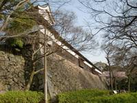福岡城跡 の写真 (1)