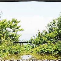 高知県立牧野植物園(こうちけんりつまきのしょくぶつえん) の写真 (3)