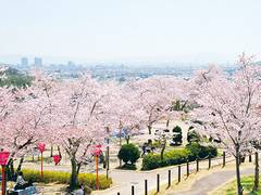 摂津峡公園