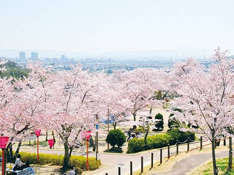桜が見られる大阪のおすすめ公園8選 花見を楽しもう 子連れのおでかけ 子どもの遊び場探しならコモリブ 桜が見られる大阪のおすすめ公園8選 花見を楽しもう 子連れのおでかけ 子どもの遊び場探しならコモリブ