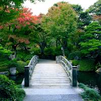 日本庭園由志園(にほんていえんゆうしえん) の写真 (3)