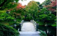 日本庭園由志園(にほんていえんゆうしえん) の写真 (3)