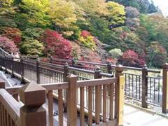 紅の吊橋