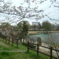 曽根城公園 の写真 (3)