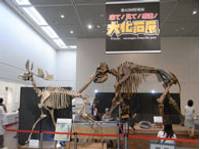 大阪市立自然史博物館 の写真 (2)