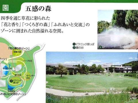 加古川ウェルネスパーク 子連れのおでかけ 子どもの遊び場探しならコモリブ 加古川ウェルネスパーク 子連れのおでかけ 子どもの遊び場探しならコモリブ