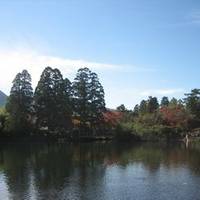 金鱗湖(きんりんこ) の写真 (3)