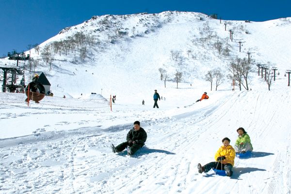 谷川岳　天神平スキー場 の写真 (3)