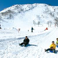 谷川岳　天神平スキー場 の写真 (3)