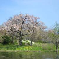 新潟県立大潟水と森公園
