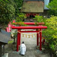 玉置神社（たまきじんじゃ） の写真 (3)