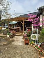 齋藤ガーデン 田舎カフェ の写真 (1)
