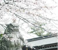 寒川神社 の写真 (3)