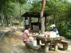 静岡県立森林公園