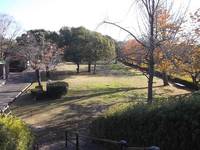 坂町横浜公園 の写真 (2)