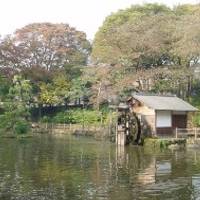 鍋島松濤公園(なべしましょうとうこうえん)