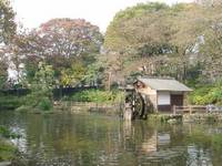 鍋島松濤公園(なべしましょうとうこうえん) の写真 (2)