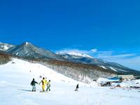 網張温泉スキー場 の写真 (1)