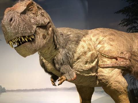 生き物について学べる関東の博物館15選 東京や神奈川の昆虫博物館から動物博物館まで 子連れのおでかけ 子どもの遊び場探しならコモリブ