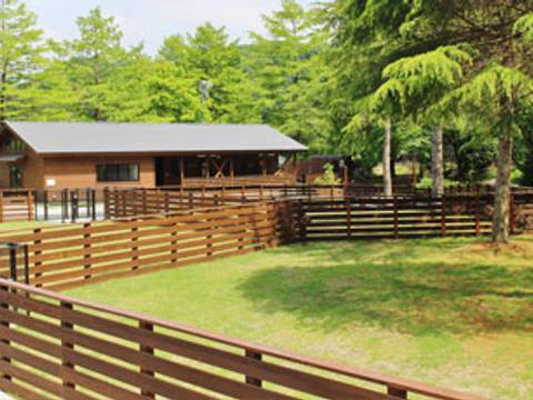 Wonderful Nature Village 子連れのおでかけ 子どもの遊び場探しならコモリブ