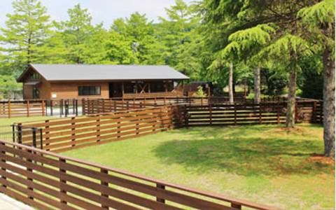 Wonderful Nature Village 子連れのおでかけ 子どもの遊び場探しならコモリブ