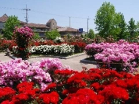 庄堺公園 しょうさかいこうえん 子連れのおでかけ 子どもの遊び場探しならコモリブ