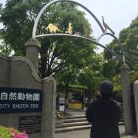 行船公園・江戸川区自然動物園 の写真 (2)
