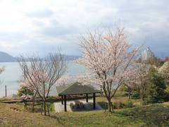 京都府立丹後海と星の見える丘公園