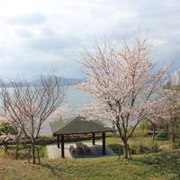 京都府立丹後海と星の見える丘公園