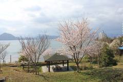京都府立丹後海と星の見える丘公園