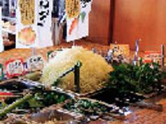 山かつ 屋島店 子連れのおでかけ 子どもの遊び場探しならコモリブ 山かつ 屋島店 子連れのおでかけ 子どもの遊び場探しならコモリブ