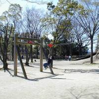 坂町横浜公園