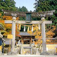 櫻山八幡宮 の写真 (3)