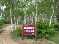 信州須坂峰の原高原「こもれび広場」 の写真 (2)